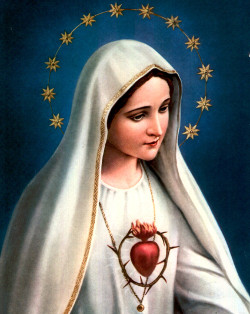 Novena candela   sacro cuore di Maria durata 9 giorni/100% vegetale 